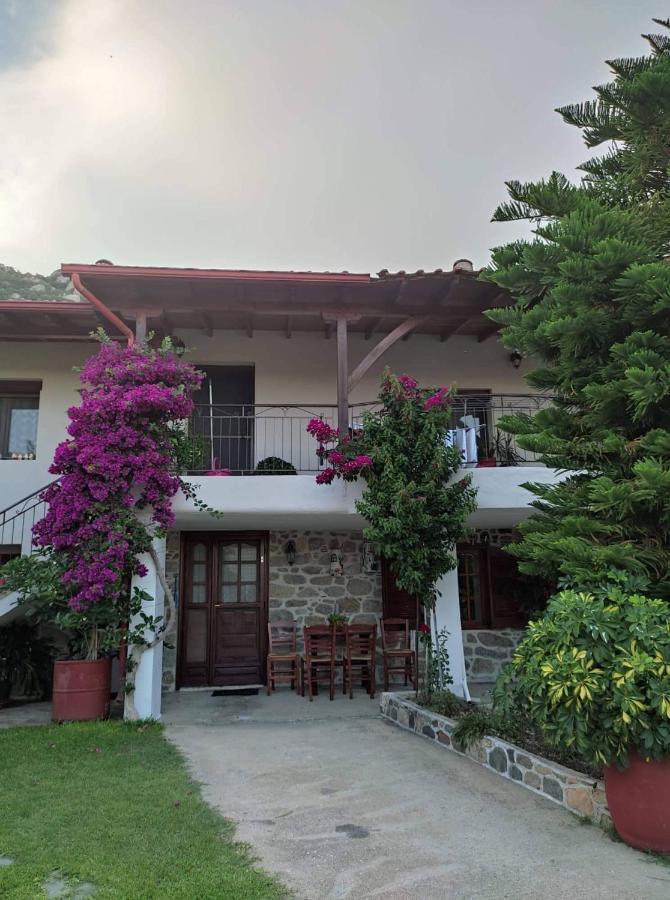 Sweet Home Sykia Chalkidikis Esterno foto