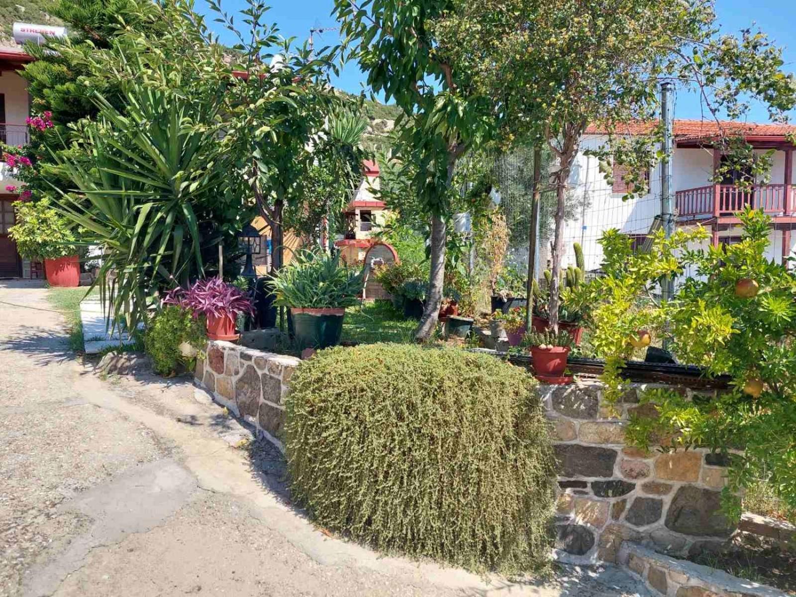 Sweet Home Sykia Chalkidikis Esterno foto